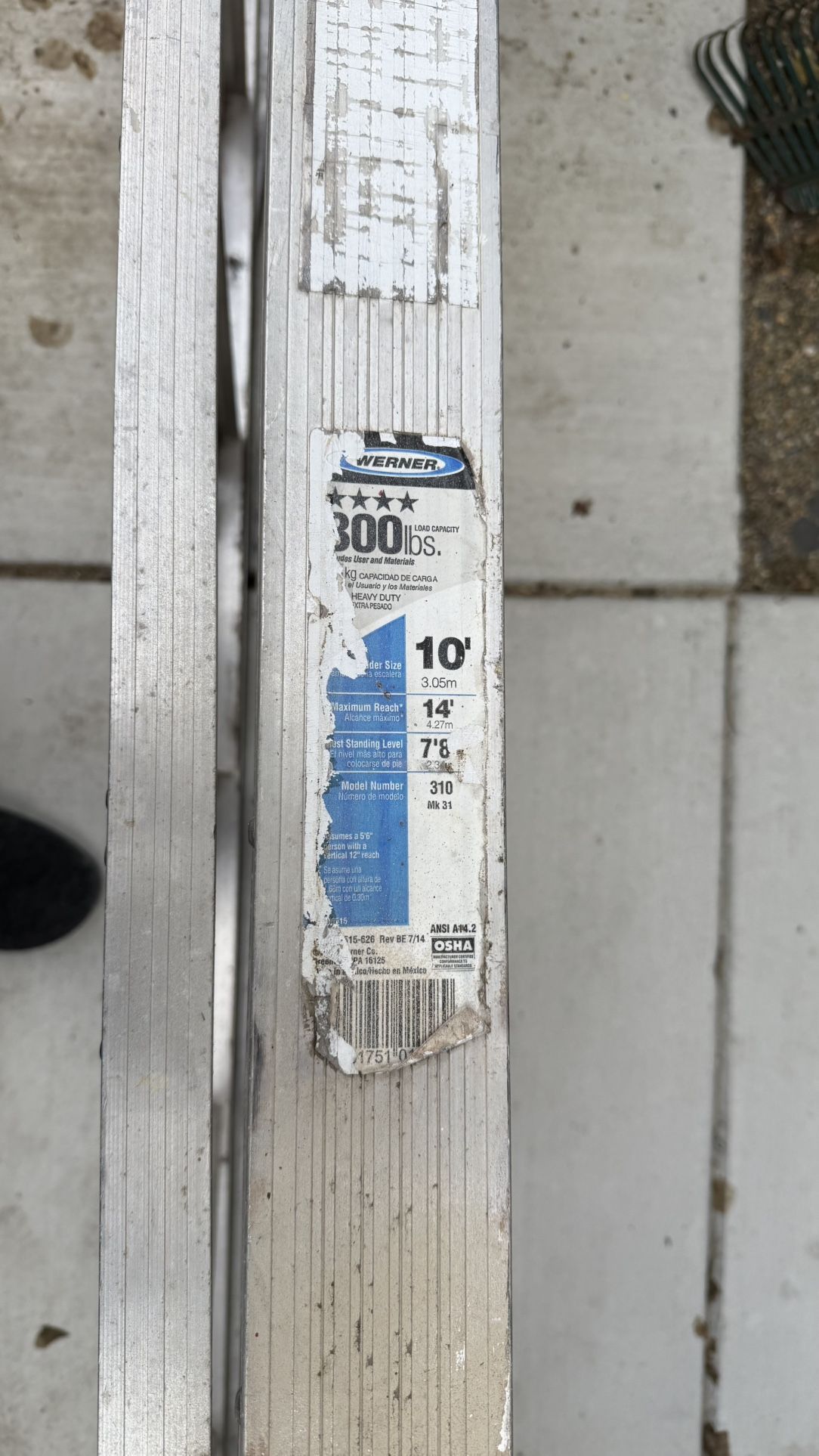 10 Ft Ladder