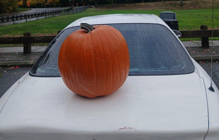 Giant Pumpkin