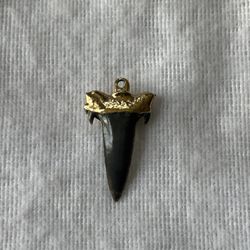 Real Shark Tooth Pendant – Found in Montauk, Long Island (Gold Plated)
