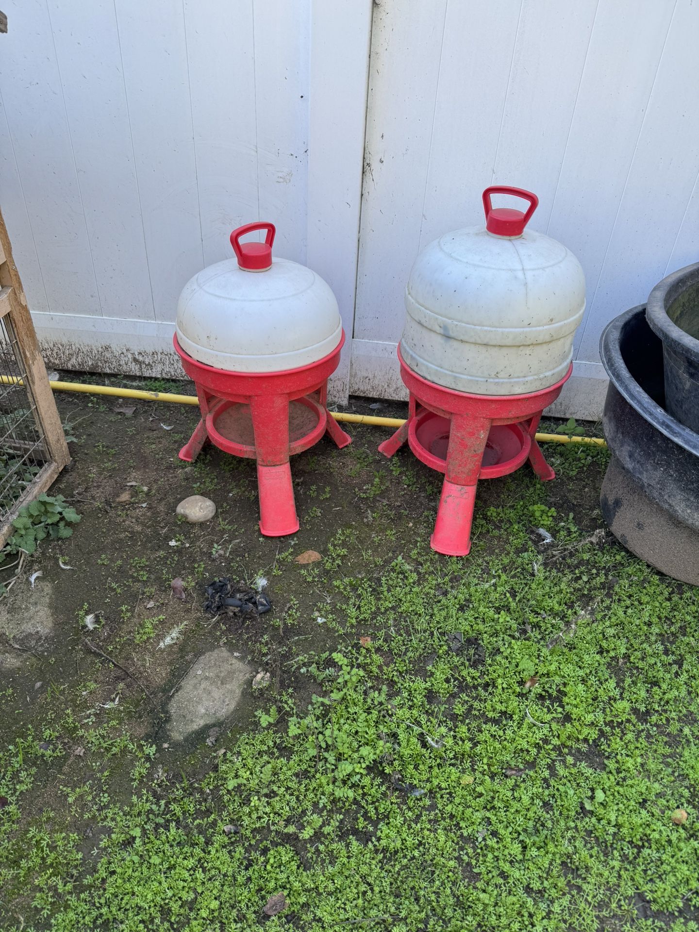 Chicken/duck Supplies