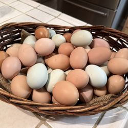 Fresh Eggs $5 Dozen Hens $40 Pullets $30Chicks $10