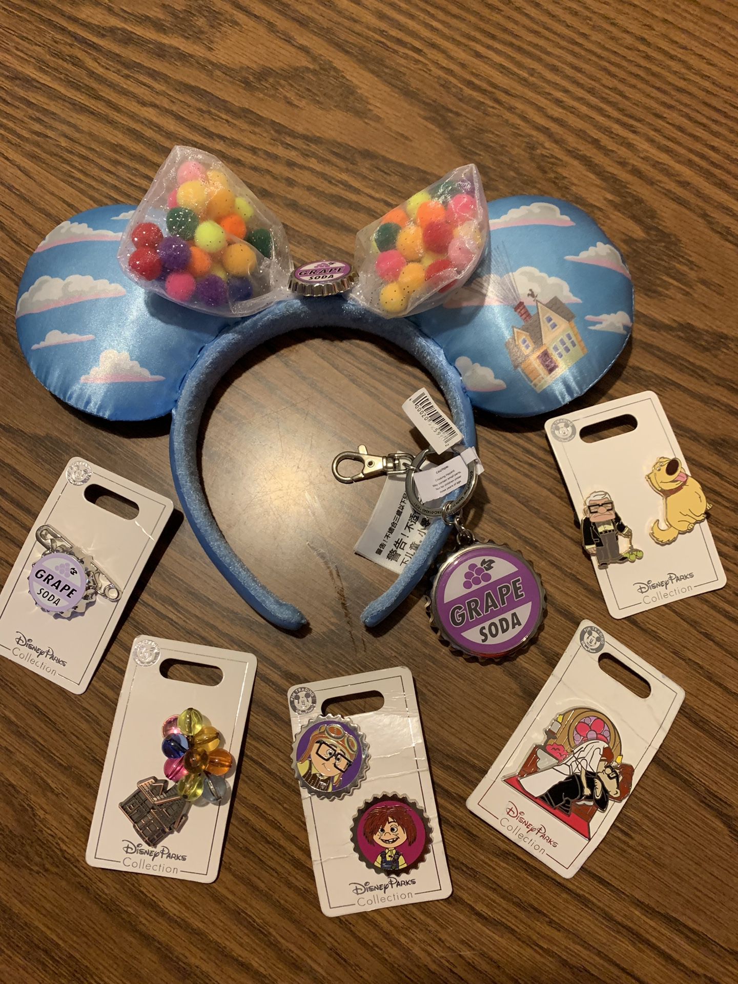 Disney Up Pins and Accessories