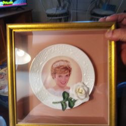 Collector Plates 