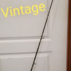 Vintage Zebco Fishing Pole