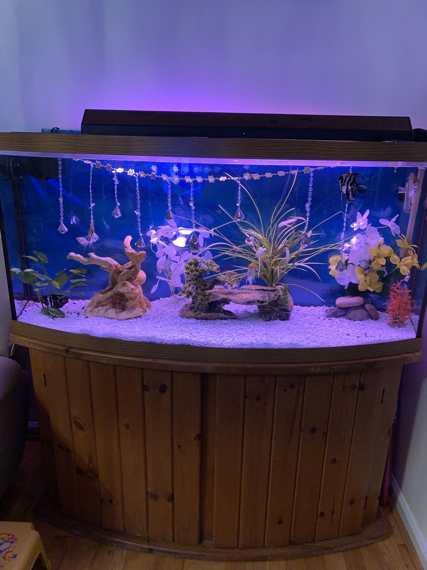 Fish tank