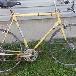 Vintage 70s Fuji Bike