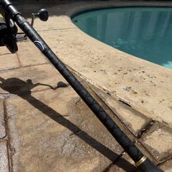 Penn Battle III 8000 Combo with 10 foot fishing rod