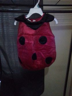 Infant Ladybug Costume 