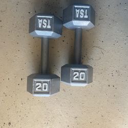 20lb Dumbbells (two)
