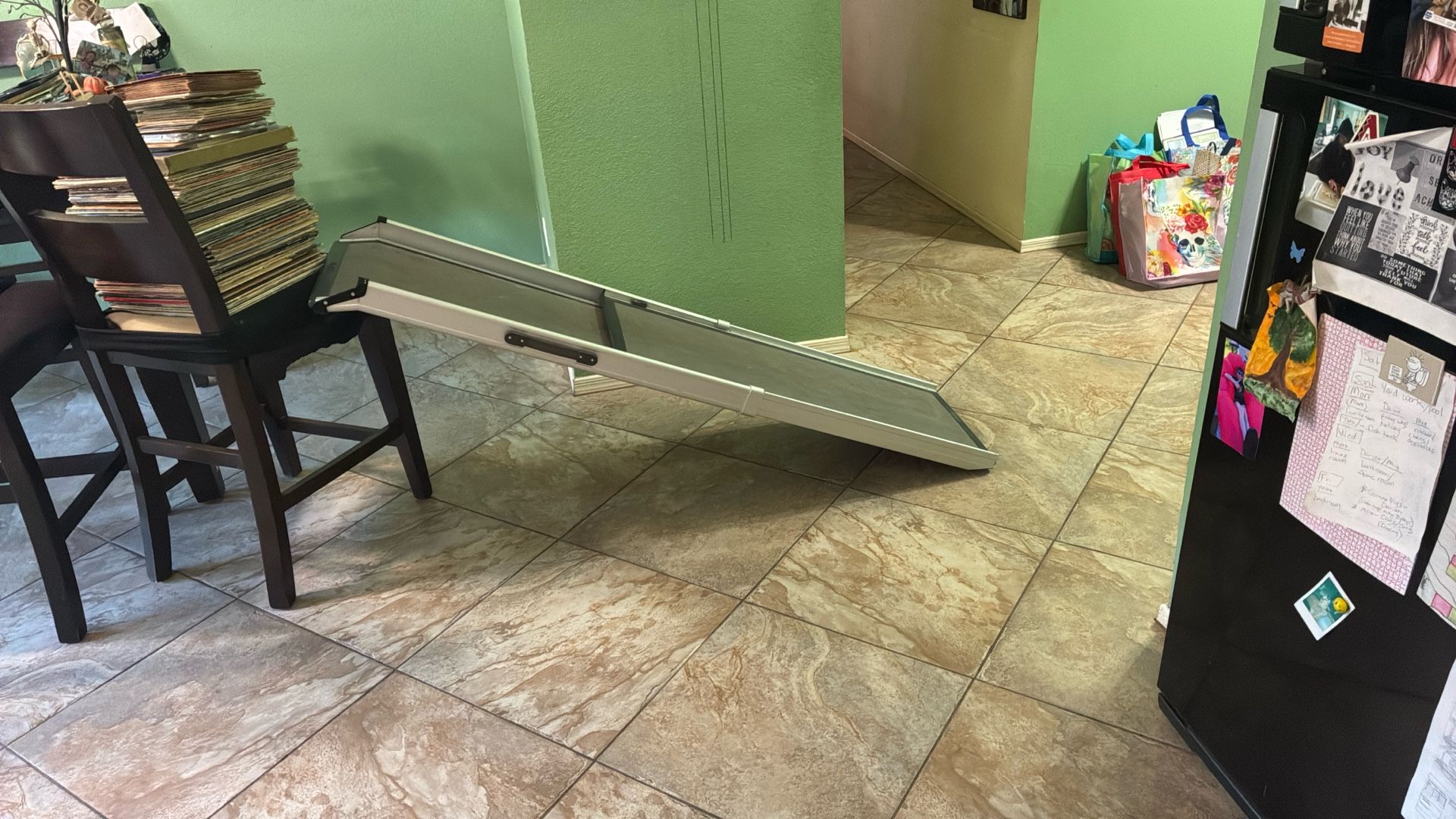 Dog Car Ramp