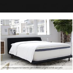 New Queen Winkbed Mattress 