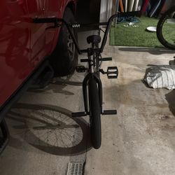 Cult Devotion 21’ 2025