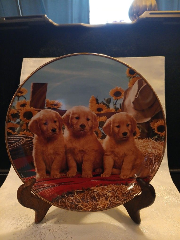 Puppy Sesional Plates