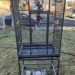 Large Bird Cage Wrought Iron