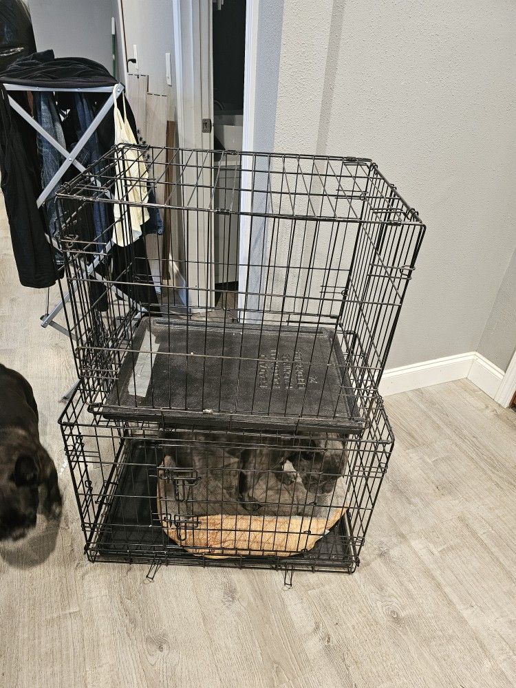 Metal Dog Crate Fits XS-Medium Size Dogs