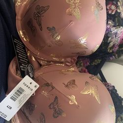 Torrid Bras