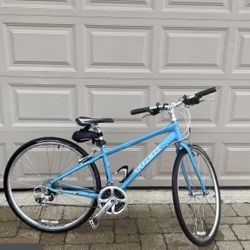 Trek Bike