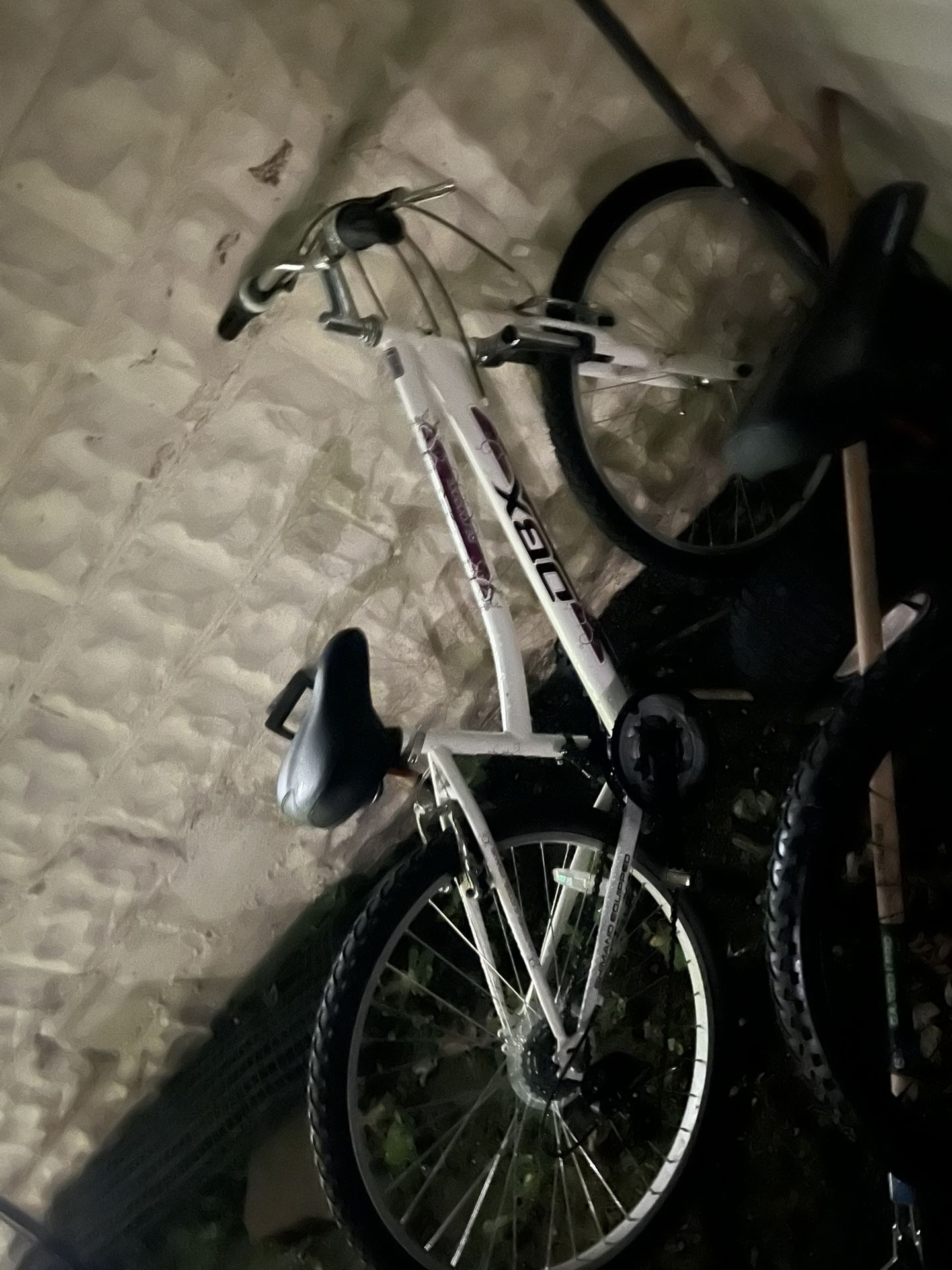 Adult Bicycles 
