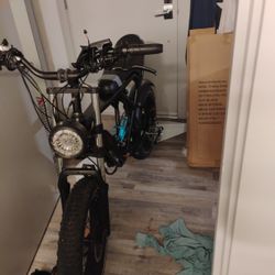 48v Radd Bike Heavy Duty Big Wheels Bike