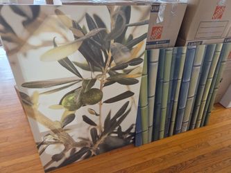 NEW IKEA canvas prints $3