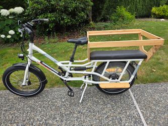 Rad wagon 4 with kid carrier