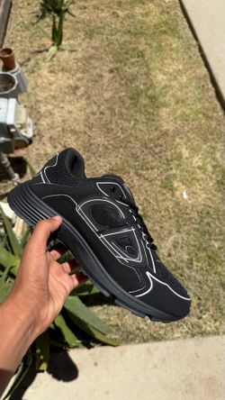 Dior b30