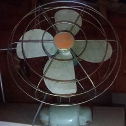 Fan