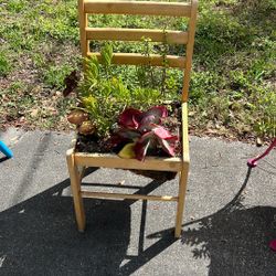 Succulent Chair