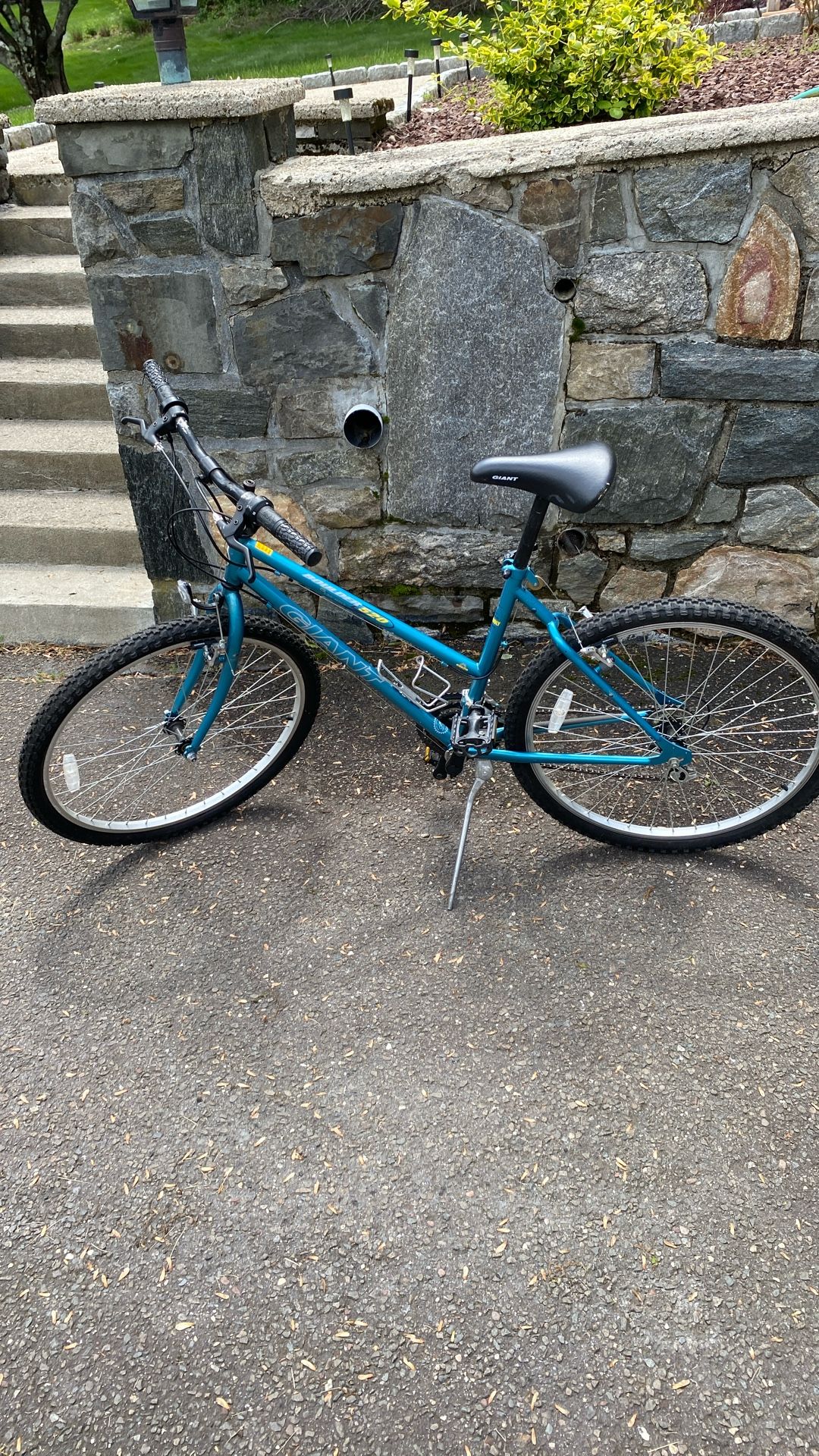 Adult Bike