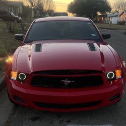 2010 Ford Mustang