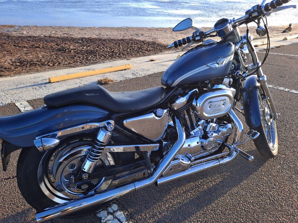 2003 Harley Davidson 1200 Custom Sportster