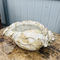 Cuenco tallado en forma de caracol