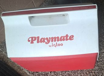 Medium Igloo Cooler And 2qt Container Playmate