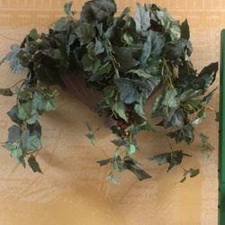 Artificial Plant On Wall