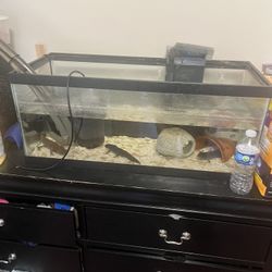 20 Gal tank
