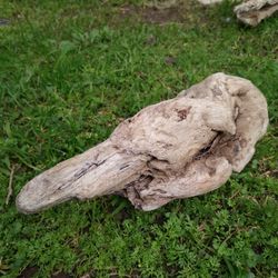 Driftwood For Aquariums Terrariums Decor 