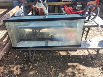 Aquarium fish tank