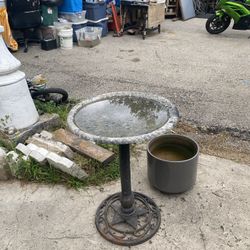 Bird Bath