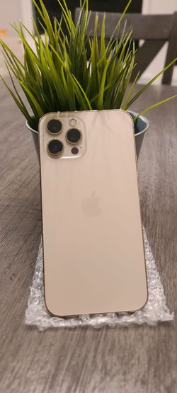 iPhone-11 pro max