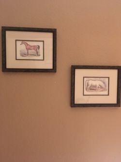 10 x 12 horse pictures