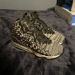 LeBron 17
