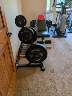 Weight rack with weights
