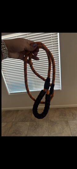 4 ft dog leash