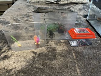 Glow Tank
