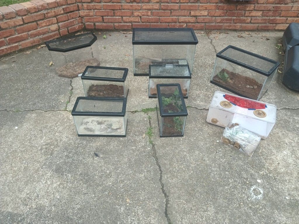 Lots Of Aquariums For Sale