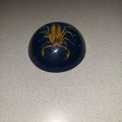 LUCITE SCORPION 3 1/2 INCH PAPERWEIGHT 