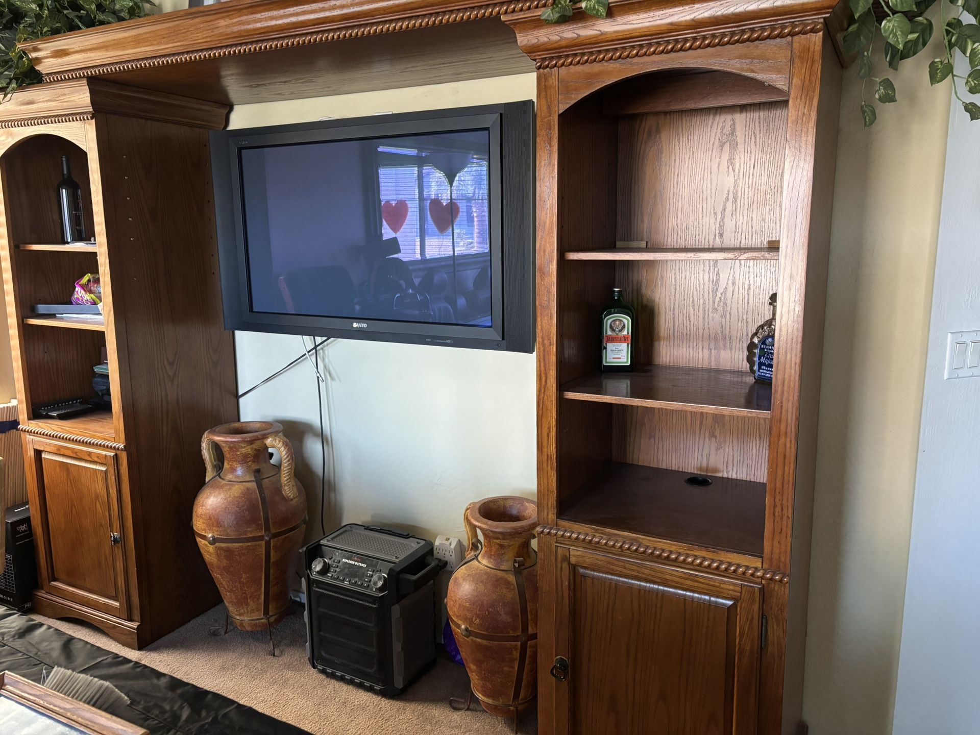 Entertainment Center Great Condition