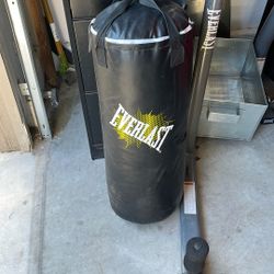 Everlast Children’s Punching Bag 
