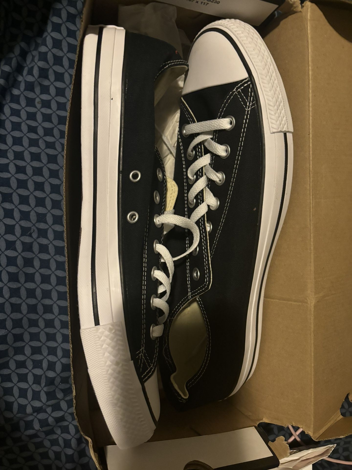 Converse Size 13