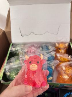 Highland Cow